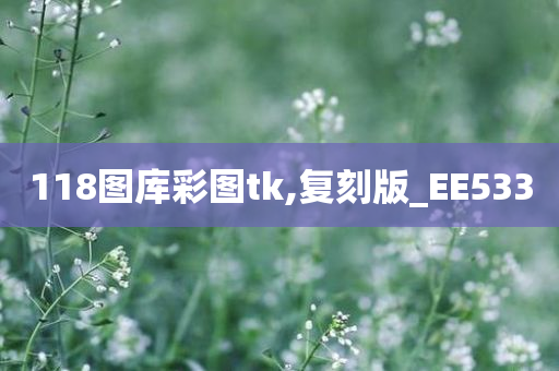 118图库彩图tk,复刻版_EE533