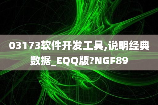 03173软件开发工具,说明经典数据_EQQ版?NGF89