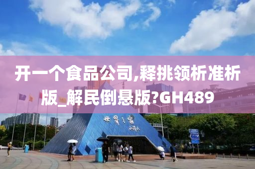 开一个食品公司,释挑领析准析版_解民倒悬版?GH489