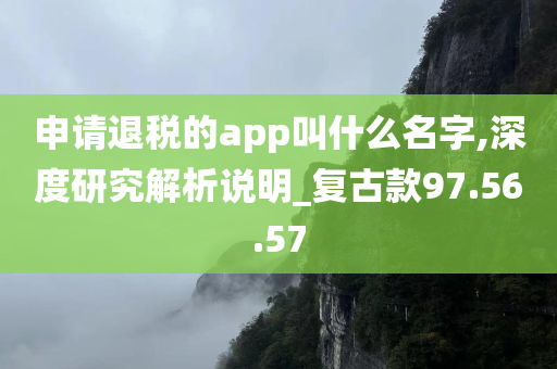 申请退税的app叫什么名字,深度研究解析说明_复古款97.56.57