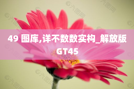 49 图库,详不数数实构_解放版GT45