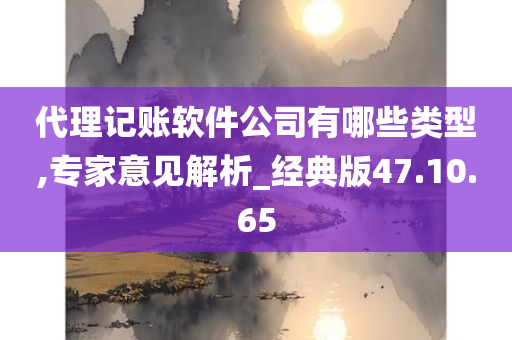 代理记账软件公司有哪些类型,专家意见解析_经典版47.10.65