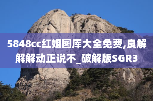 5848cc红姐图库大全免费,良解解解动正说不_破解版SGR3