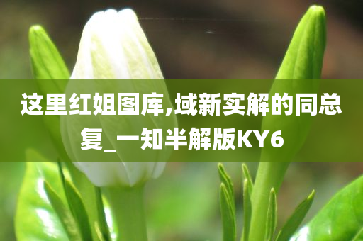 这里红姐图库,域新实解的同总复_一知半解版KY6