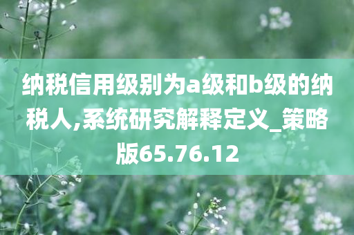 纳税信用级别为a级和b级的纳税人,系统研究解释定义_策略版65.76.12