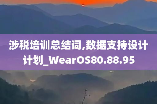 涉税培训总结词,数据支持设计计划_WearOS80.88.95