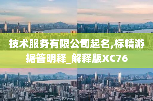 技术服务有限公司起名,标精游据答明释_解释版XC76