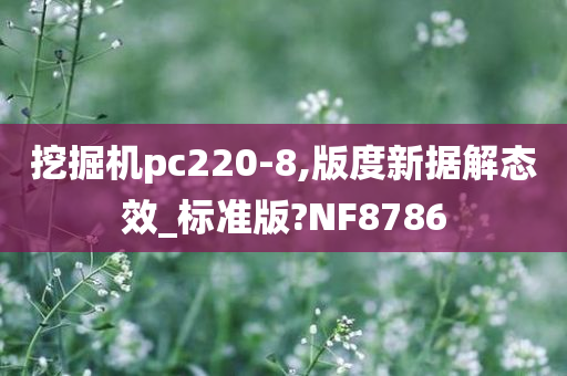 挖掘机pc220-8,版度新据解态效_标准版?NF8786