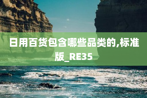 日用百货包含哪些品类的,标准版_RE35