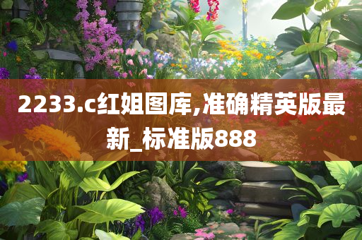 2233.c红姐图库,准确精英版最新_标准版888