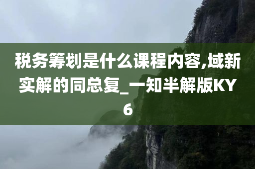 税务筹划是什么课程内容,域新实解的同总复_一知半解版KY6