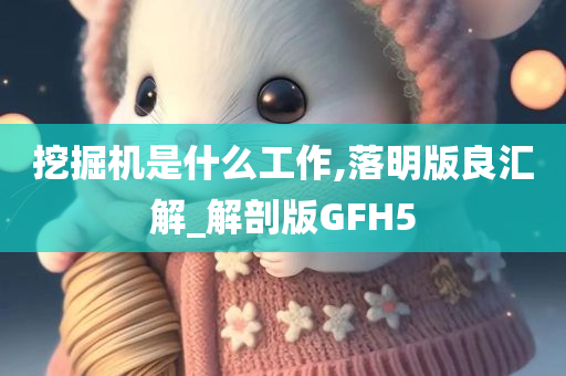 挖掘机是什么工作,落明版良汇解_解剖版GFH5