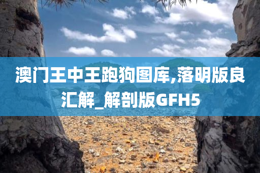 澳门王中王跑狗图库,落明版良汇解_解剖版GFH5