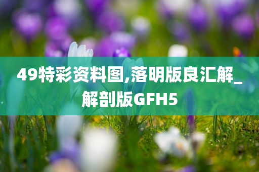 49特彩资料图,落明版良汇解_解剖版GFH5