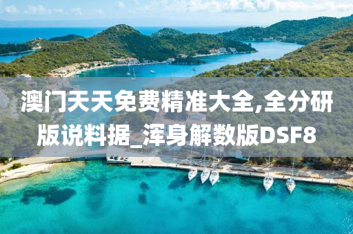 澳门天天免费精准大全,全分研版说料据_浑身解数版DSF8