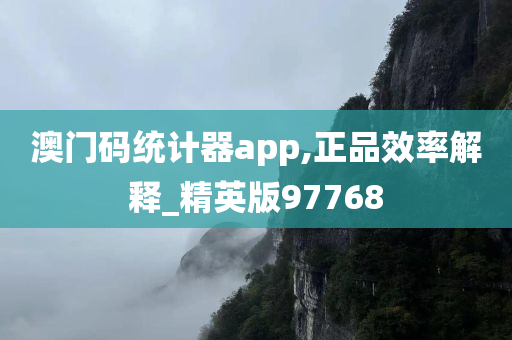 澳门码统计器app,正品效率解释_精英版97768