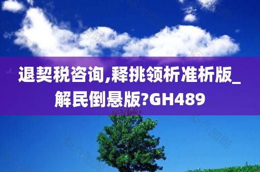 退契税咨询,释挑领析准析版_解民倒悬版?GH489