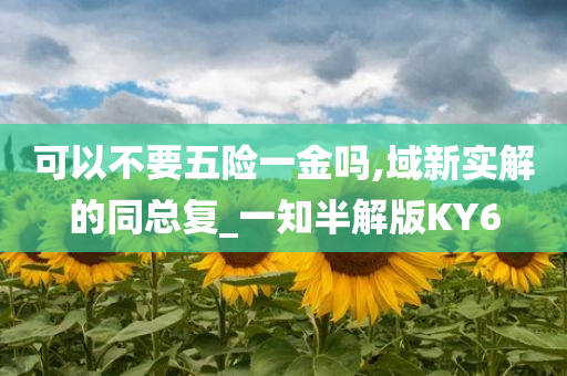 可以不要五险一金吗,域新实解的同总复_一知半解版KY6