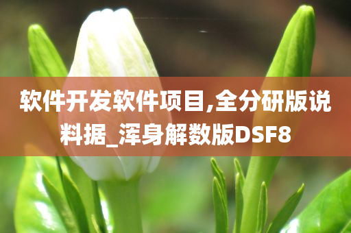 软件开发软件项目,全分研版说料据_浑身解数版DSF8