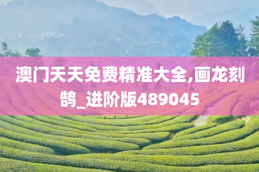 澳门天天免费精准大全,画龙刻鹄_进阶版489045