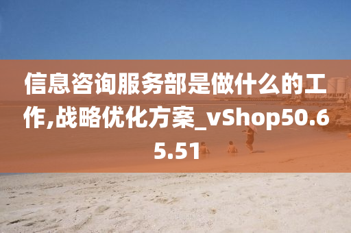 信息咨询服务部是做什么的工作,战略优化方案_vShop50.65.51