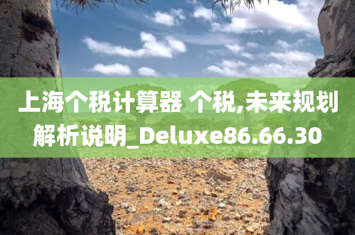 上海个税计算器 个税,未来规划解析说明_Deluxe86.66.30