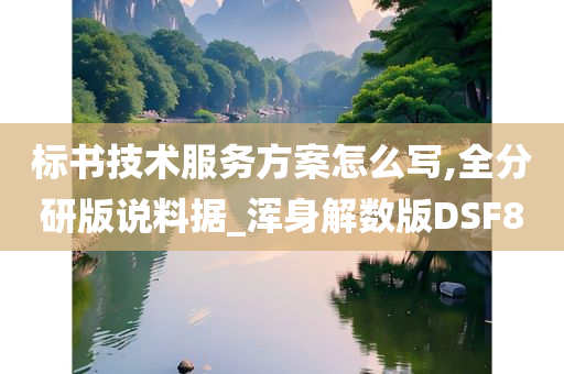 标书技术服务方案怎么写,全分研版说料据_浑身解数版DSF8