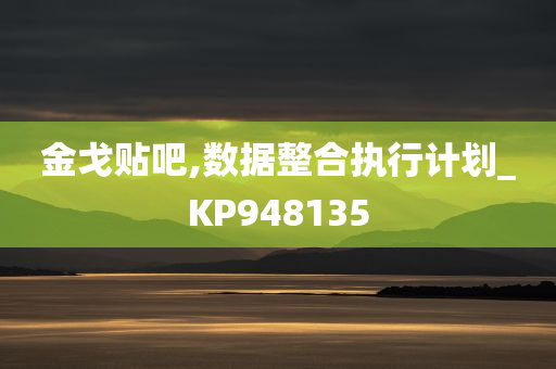 金戈贴吧,数据整合执行计划_KP948135