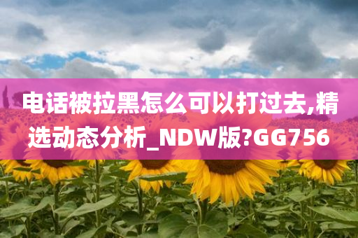 电话被拉黑怎么可以打过去,精选动态分析_NDW版?GG756