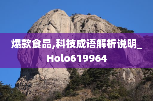 爆款食品,科技成语解析说明_Holo619964