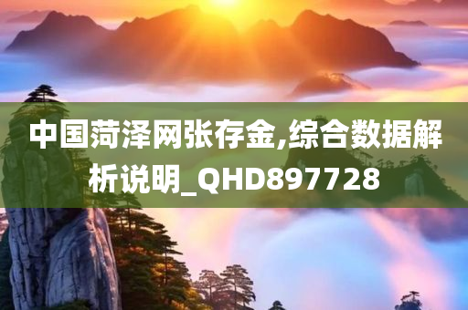 中国菏泽网张存金,综合数据解析说明_QHD897728