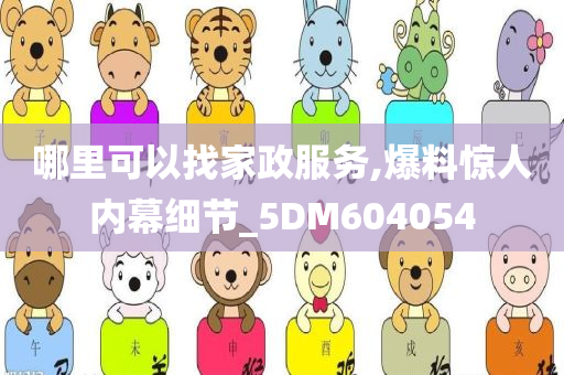 哪里可以找家政服务,爆料惊人内幕细节_5DM604054