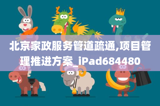 北京家政服务管道疏通,项目管理推进方案_iPad684480