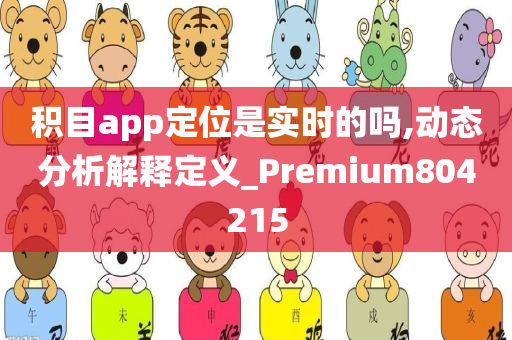 积目app定位是实时的吗,动态分析解释定义_Premium804215