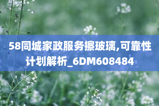 58同城家政服务擦玻璃,可靠性计划解析_6DM608484