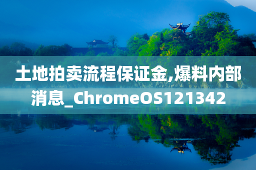 土地拍卖流程保证金,爆料内部消息_ChromeOS121342