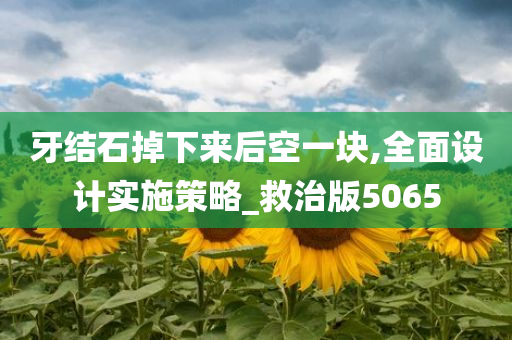 牙结石掉下来后空一块,全面设计实施策略_救治版5065