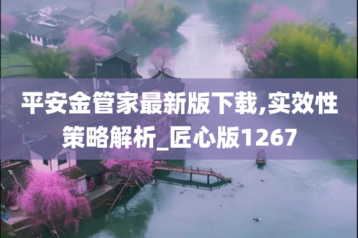 平安金管家最新版下载,实效性策略解析_匠心版1267