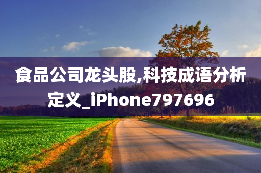 食品公司龙头股,科技成语分析定义_iPhone797696