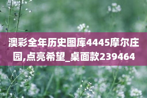 澳彩全年历史图库4445摩尔庄园,点亮希望_桌面款239464