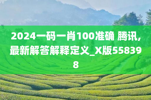 2024一码一肖100准确 腾讯,最新解答解释定义_X版558398