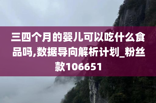 三四个月的婴儿可以吃什么食品吗,数据导向解析计划_粉丝款106651