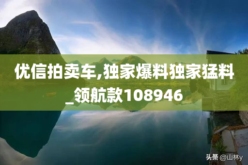 优信拍卖车,独家爆料独家猛料_领航款108946