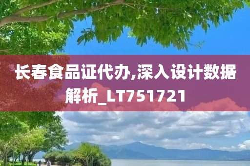 长春食品证代办,深入设计数据解析_LT751721