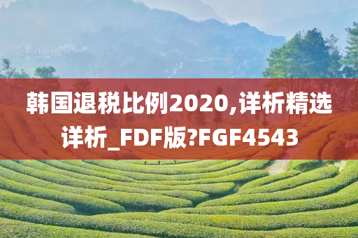 韩国退税比例2020,详析精选详析_FDF版?FGF4543