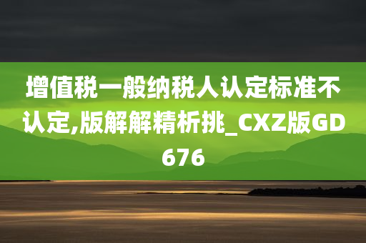 增值税一般纳税人认定标准不认定,版解解精析挑_CXZ版GD676