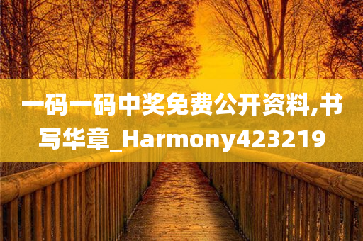 一码一码中奖免费公开资料,书写华章_Harmony423219