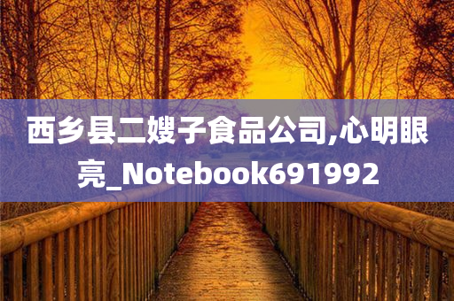 西乡县二嫂子食品公司,心明眼亮_Notebook691992