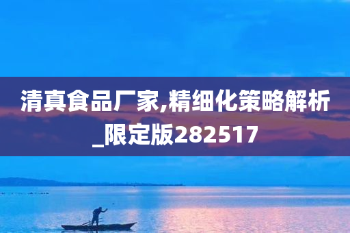 清真食品厂家,精细化策略解析_限定版282517