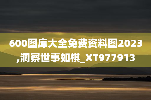 600图库大全免费资料图2023,洞察世事如棋_XT977913